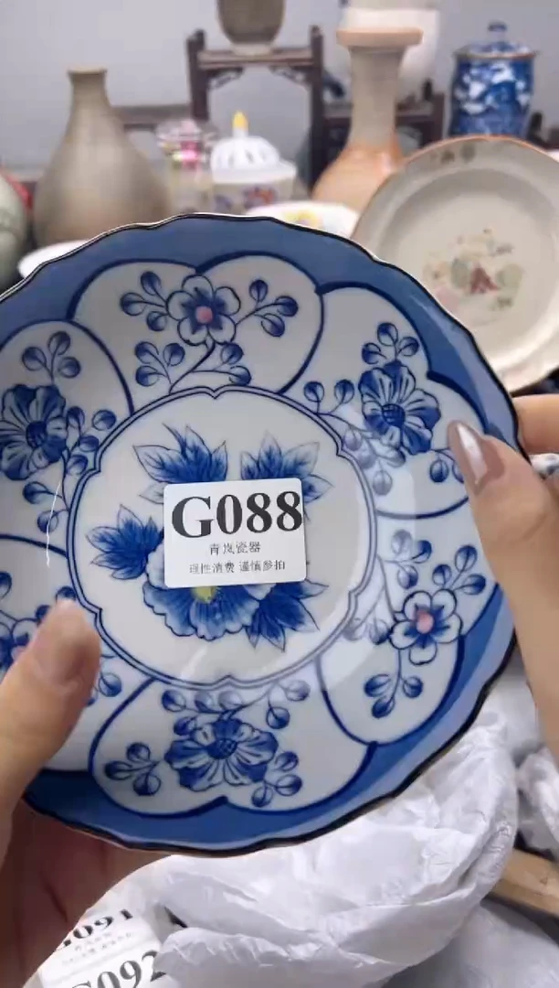 瓷片z**见   G088
