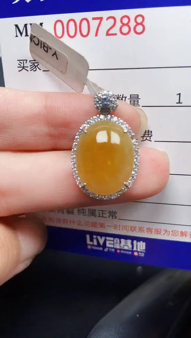 翡翠银S925镶嵌颈饰7288
