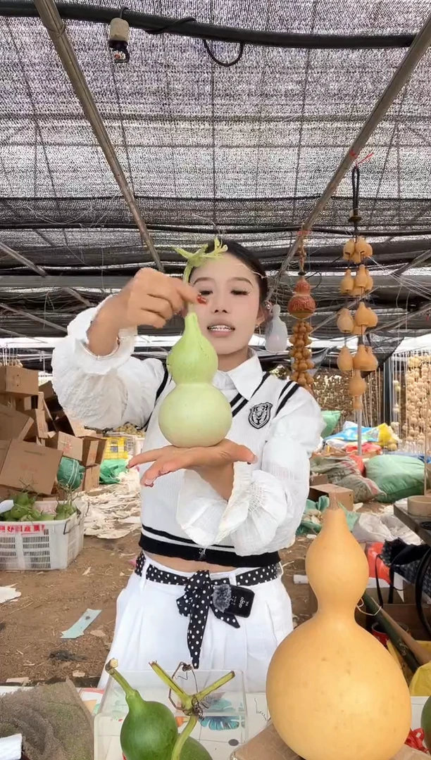 680天然葫芦摆件 一物一拍龙头不保售后