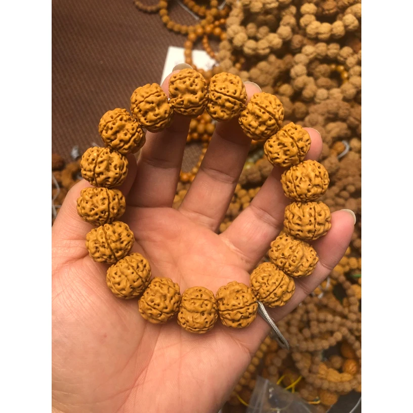 帝王龙手串18mm左右金刚菩提手串小金刚菩提籽粗筋爆肉梅花桩手串