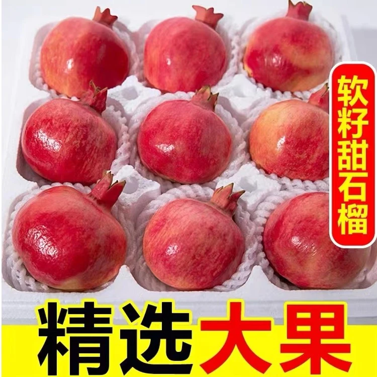正宗四川会理软籽石榴新鲜突尼斯水果批发当季整箱直播5/8斤包邮