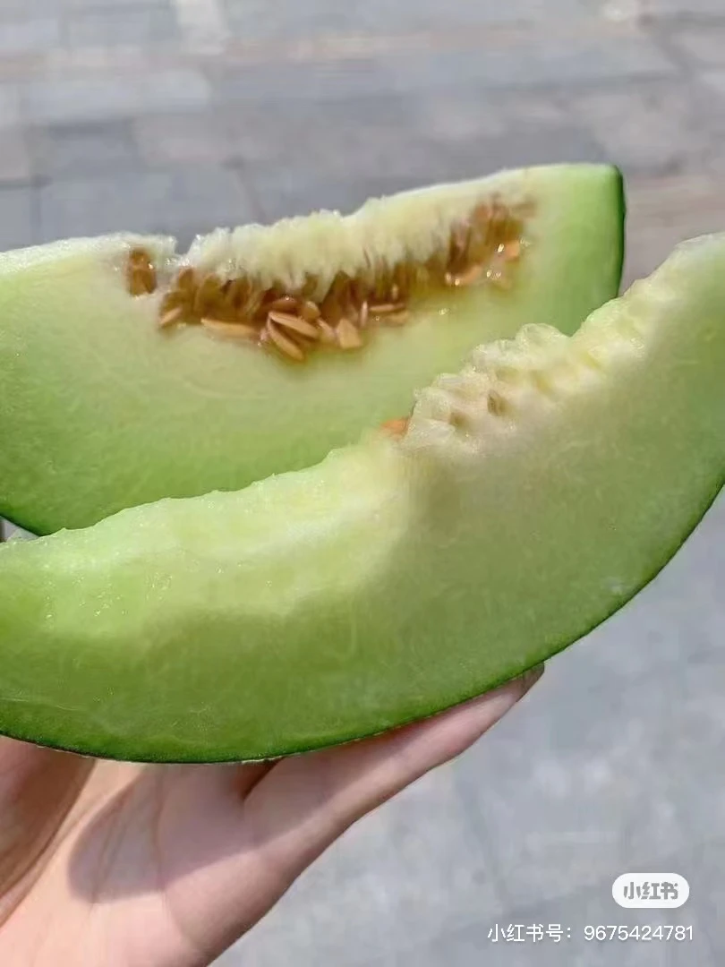 软口哈密瓜（大果）