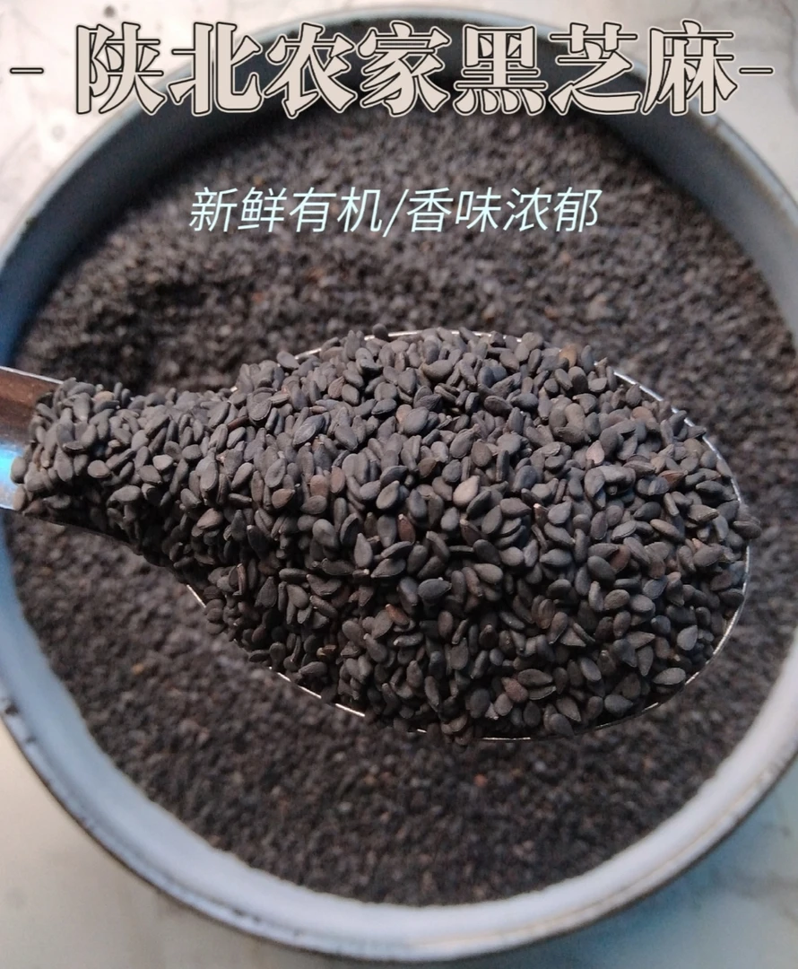 农家黑芝麻原生态种植/可做点心/黑芝麻糊等食品2斤/5斤全国包邮