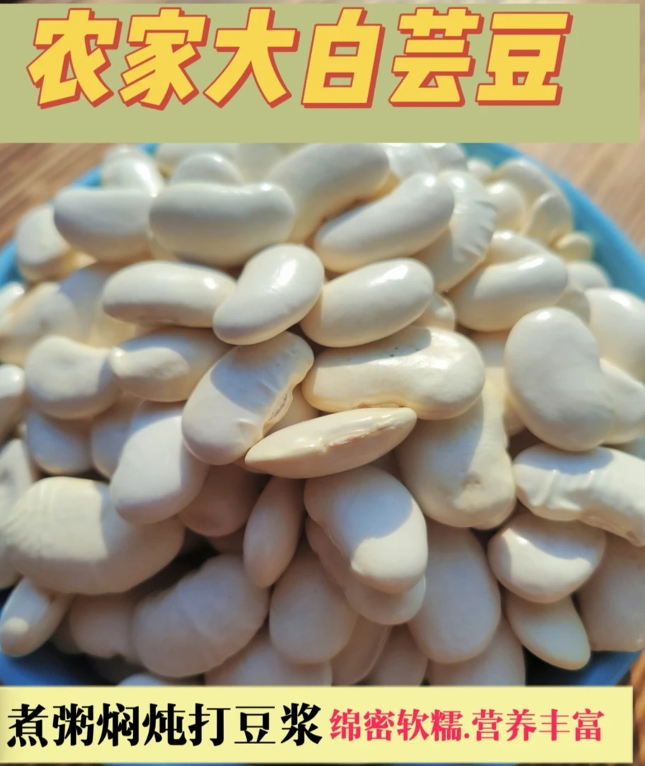 农家大白芸豆天然种植大白芸豆/粉糯香甜营养味美5斤9斤装包邮