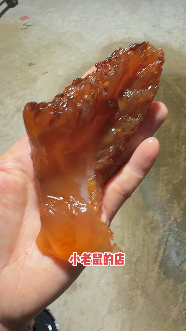 本港红海蜇头  大角 净重4.5斤