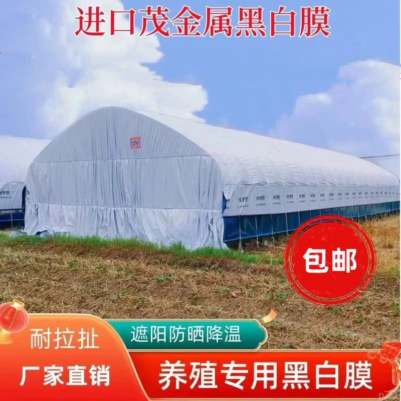 进口黑白膜加厚养殖大棚黑白膜反光隔热膜塑料布食用菌大棚膜保温