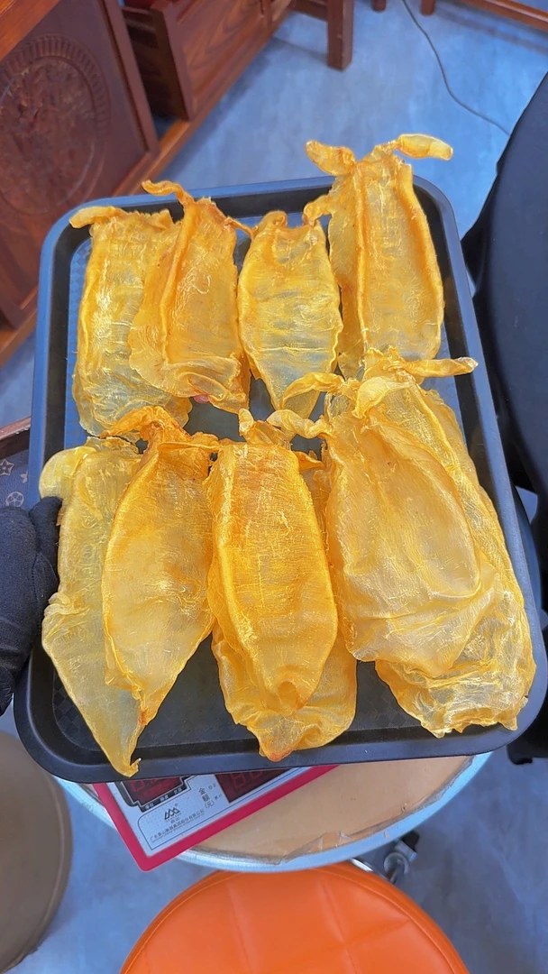 广东北海大耳金钱鱼胶1-500g