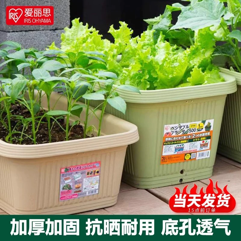 爱丽思种菜盆蔬菜种植箱家庭阳台特大号长方形花盆草莓爱丽丝种菜