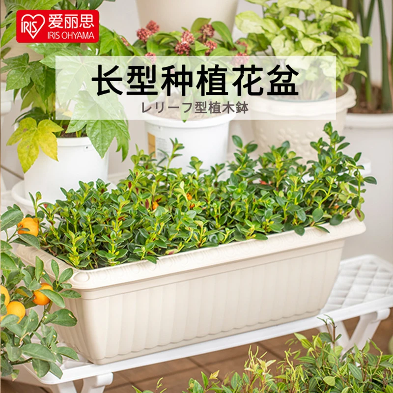 爱丽思长方形阳台多肉花盆浮雕种菜盆大口径室内爱丽丝水培铜钱草