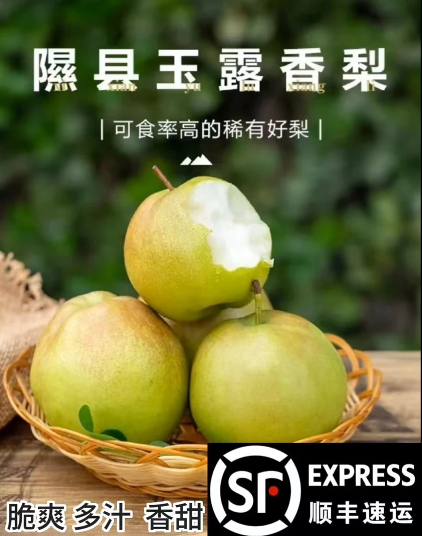 山西隰县玉露香梨8斤12颗新鲜现摘爆汁脆甜皮薄核小化渣玉露香梨