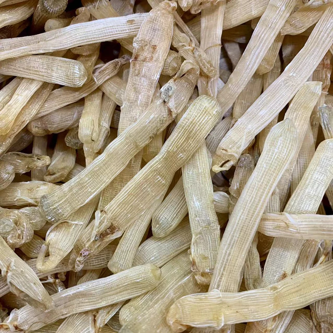 沙虫干中大号  北海靓货 50g 100g