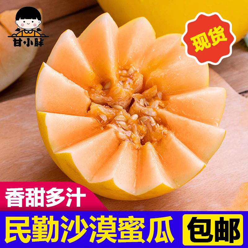 甘肃民勤沙漠蜜瓜 超甜 现采现摘坏果包赔 5/9斤