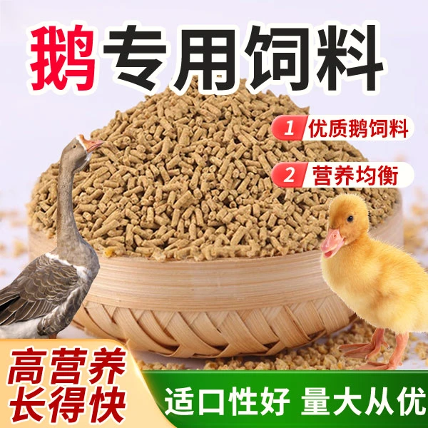 鹅饲料小鹅幼鹅中大鹅专用颗粒饲料育肥鹅通用全价料高蛋白开口料