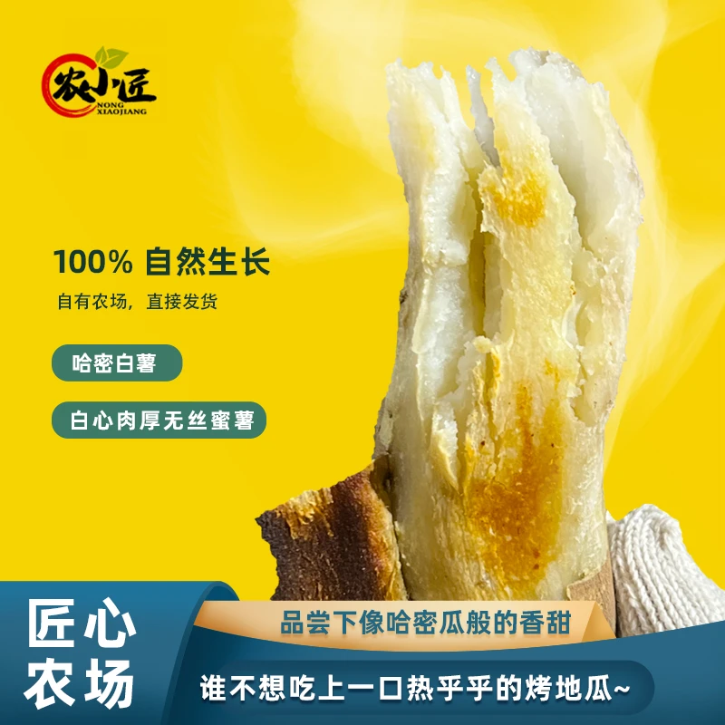 哈密冰糖薯山东沙地新鲜白心番薯农家自种哈密薯5斤香甜好吃白薯