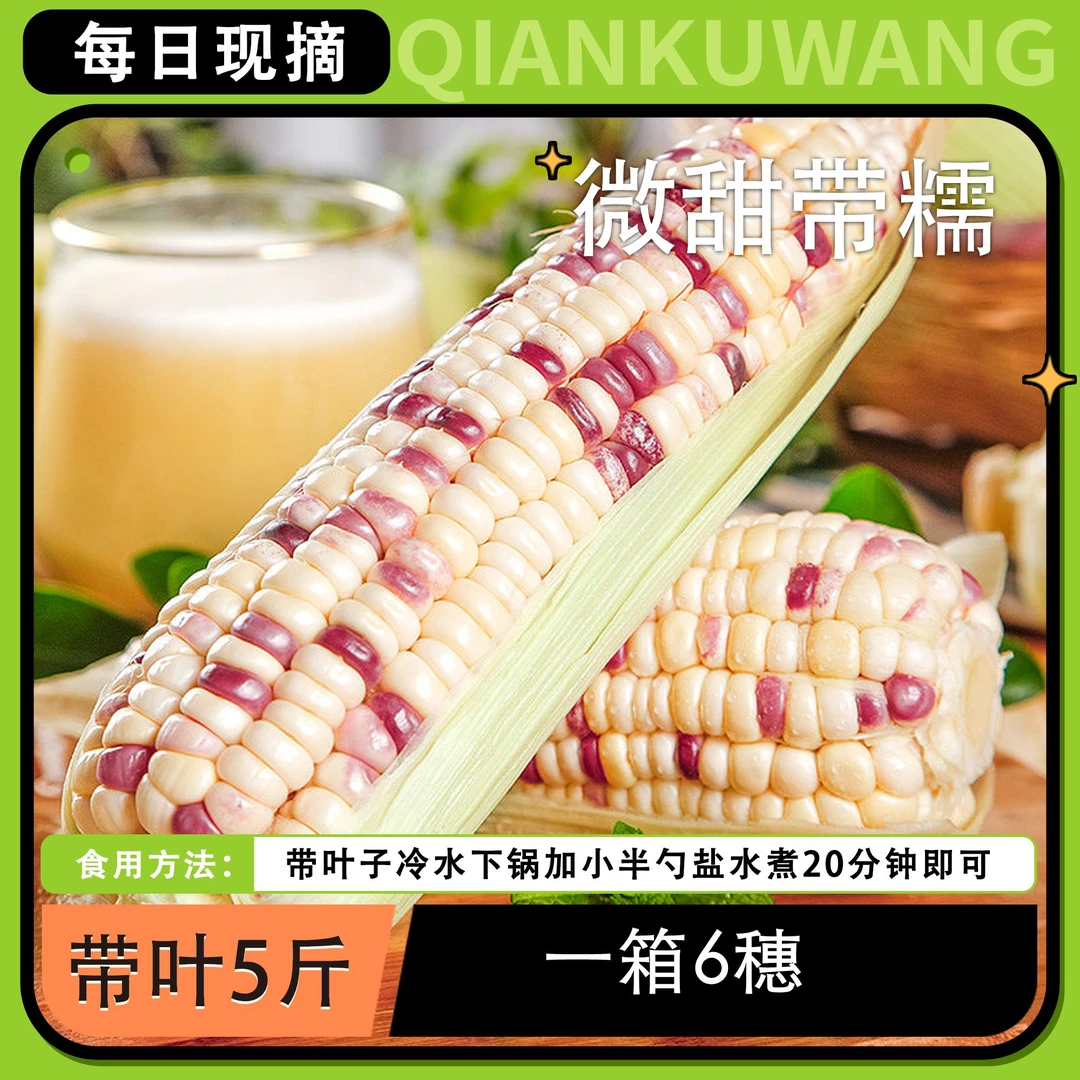 【农小匠】花糯玉米现摘现发新鲜玉米清香甜糯带叶白糯玉米鲜玉米