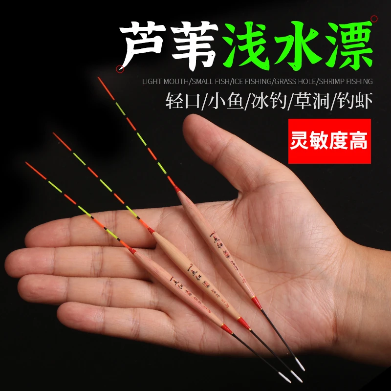 浅水芦苇漂高灵敏轻口鲫鱼漂短鱼漂秋冬野钓白条浮钓水皮漂冰钓漂
