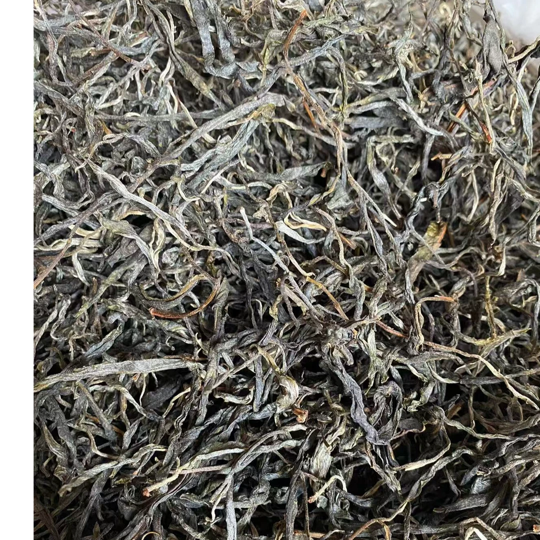 秘境山头 2025头春头采普洱生茶古树纯料