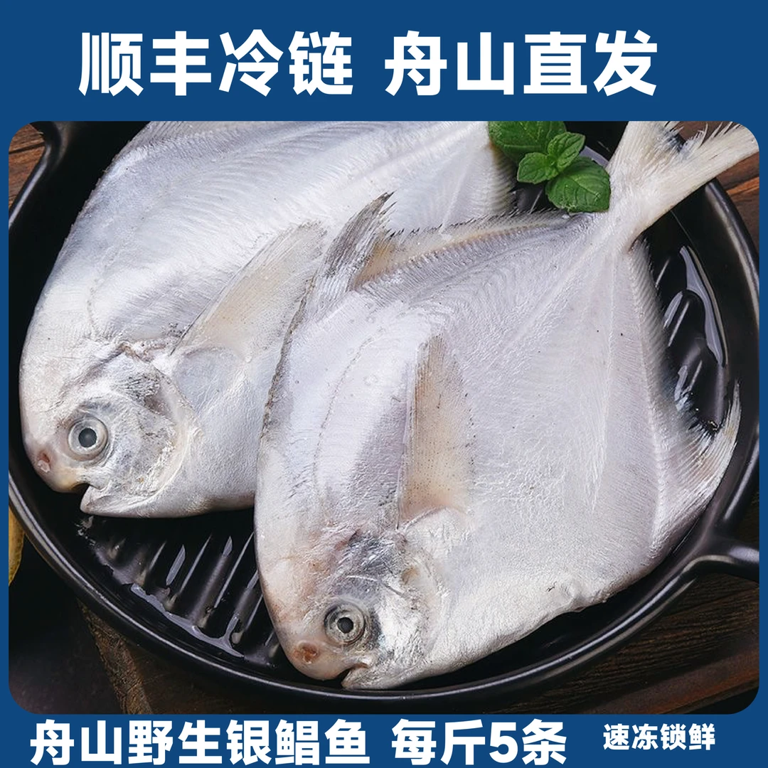 舟山葱油白鲳鱼无冰衣野生银鲳鱼码头直发顺丰冷链4斤20条