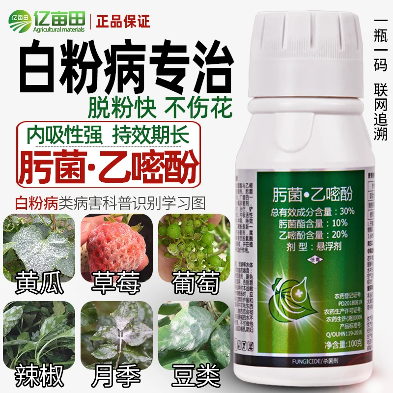 白粉病杀菌剂农药肟菌酯乙嘧酚悬浮剂脱粉剂不伤花草莓月季黄瓜用