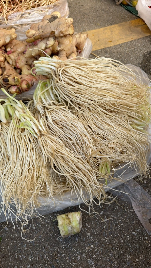 走一方现收 撇菜根，土豆