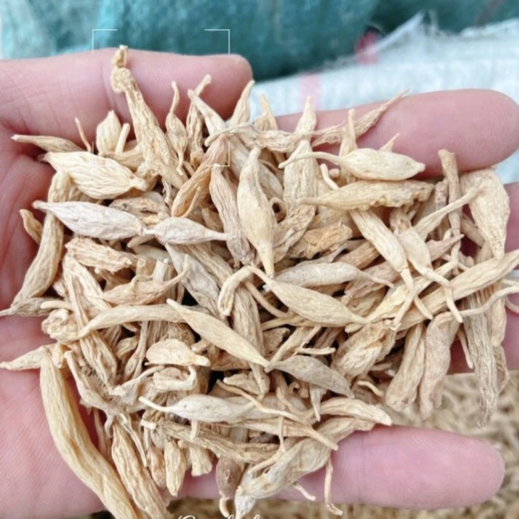 多年生老麦冬秦岭深山 采挖手工精选泡茶煮水