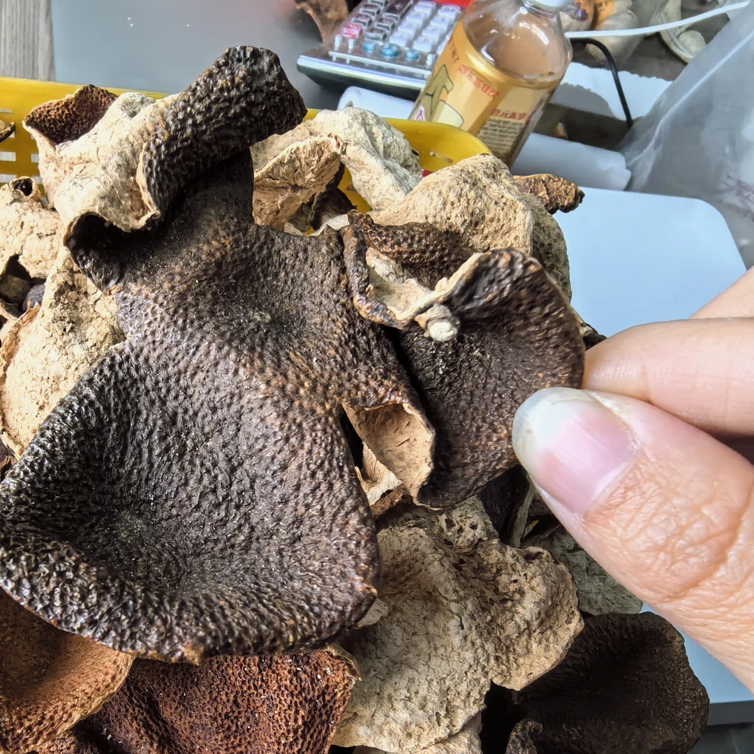 （得返斤几啊）2019年新会双水小冈二红＋大红陈皮断皮断片清啦