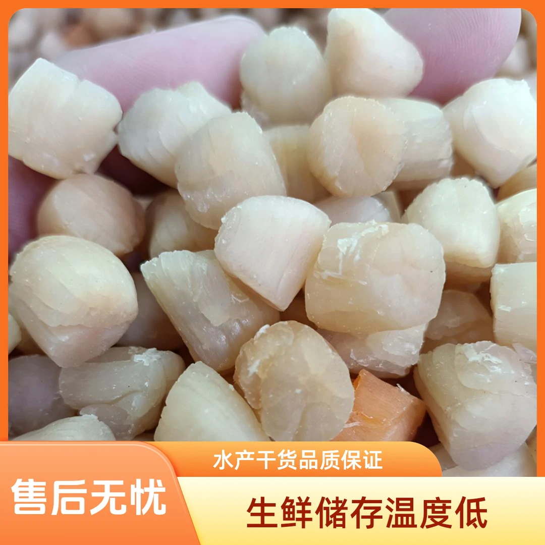 青岛大鹏干贝瑶柱大号无盐淡干海鲜干货散装称重扇贝柱一斤