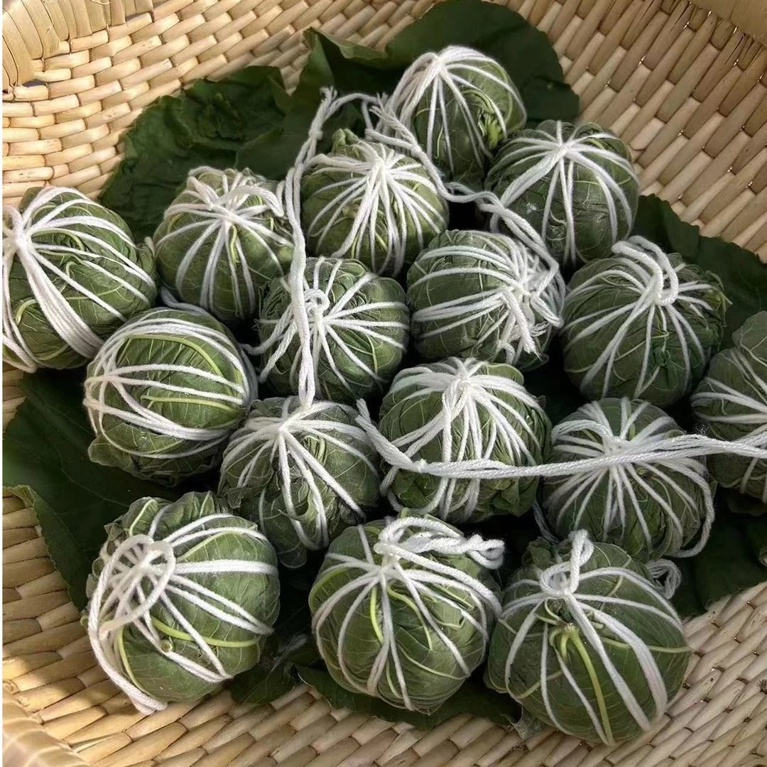 面瓜曲 专用曲蛋 家用 商用 天然发酵