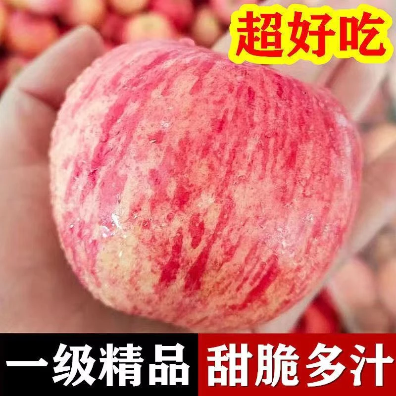 甘肃庆阳高原红富士苹果新鲜苹果产地直发脆甜可口冰糖心爆甜水果