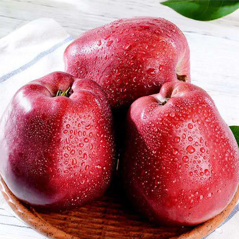 【那园子】甘肃天水花牛苹果4.5斤