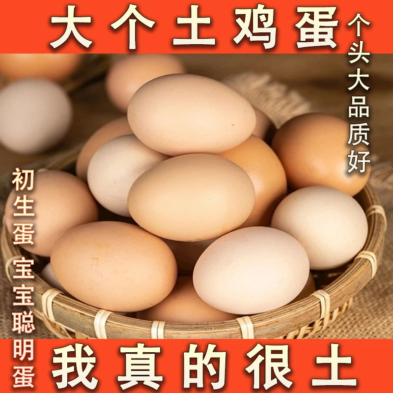 EGGWOWL/蛋无二散养土鸡蛋新鲜好吃当日现发初生蛋直供介意小勿拍