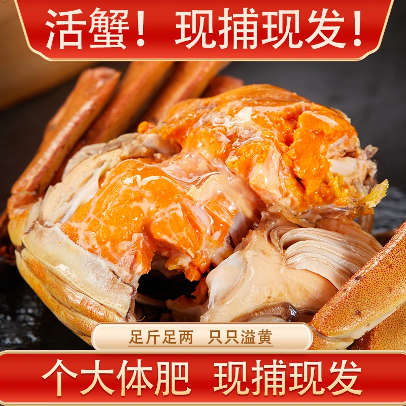 【活蟹】公4.0两+母3.0两【公母搭配】【巨无霸】10只湖中醉大闸蟹T10