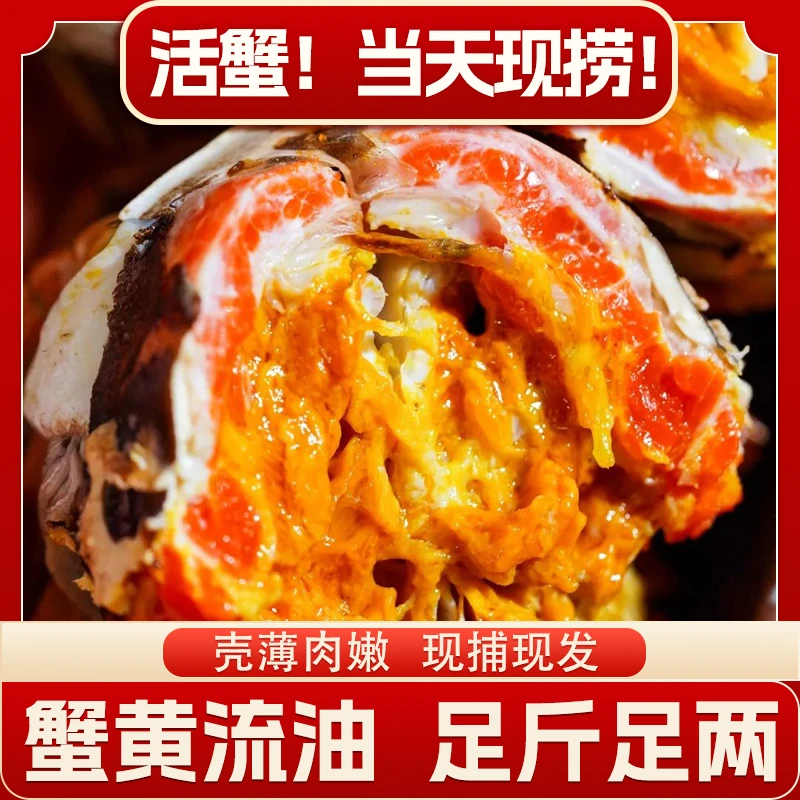 【活蟹现发】大闸蟹 公5.0-4.7两*3只 母4.0-3.7两*5只 共8只 AK9