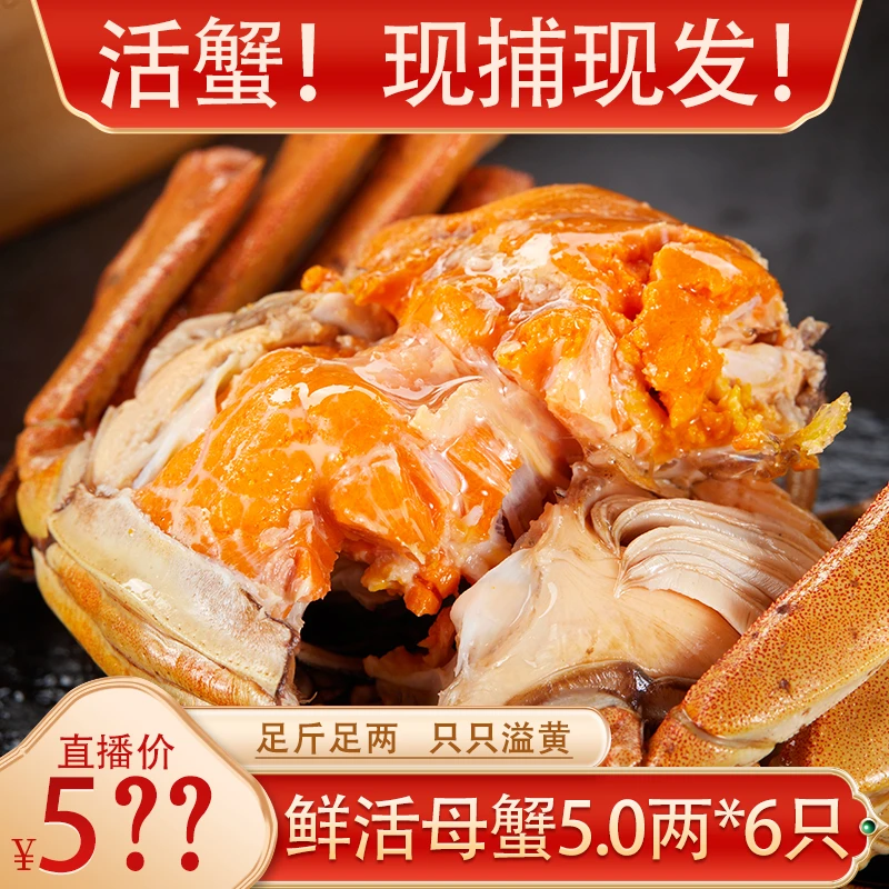 【活蟹】湖中醉大闸蟹 母5.0两*6只 鲜活冷链发货