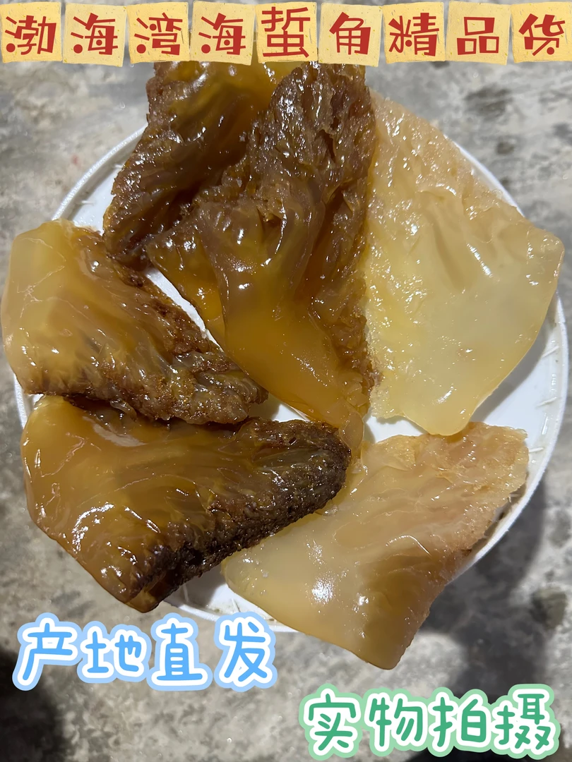 正宗渤海湾野生海蜇角产地直销桶装精品货