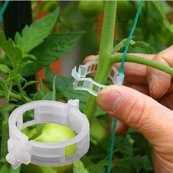淘不淘器 农园蔬果植物种植爬藤落秧扶蔓便捷固定夹