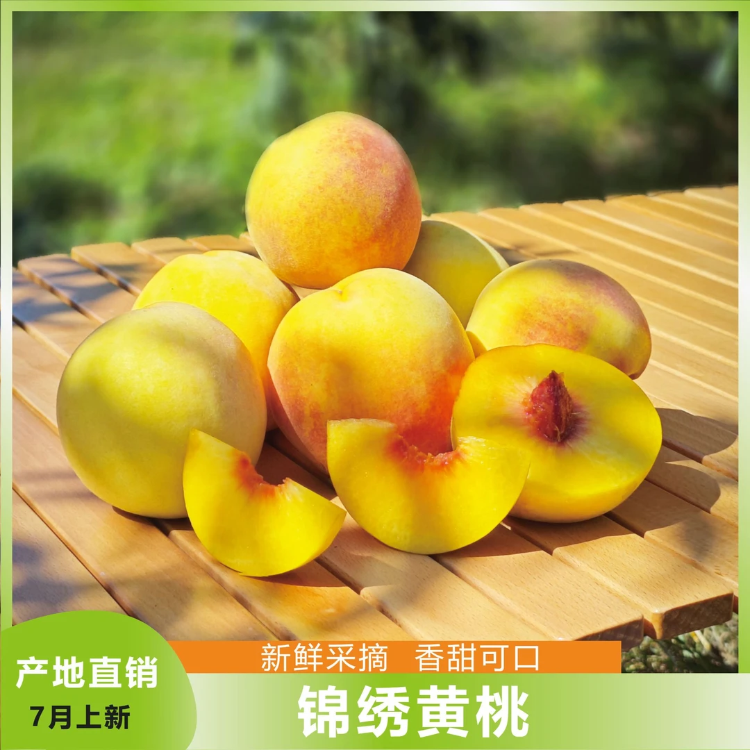 湖北正宗红心锦绣黄桃露天果净重4.5~5斤高山现摘现发