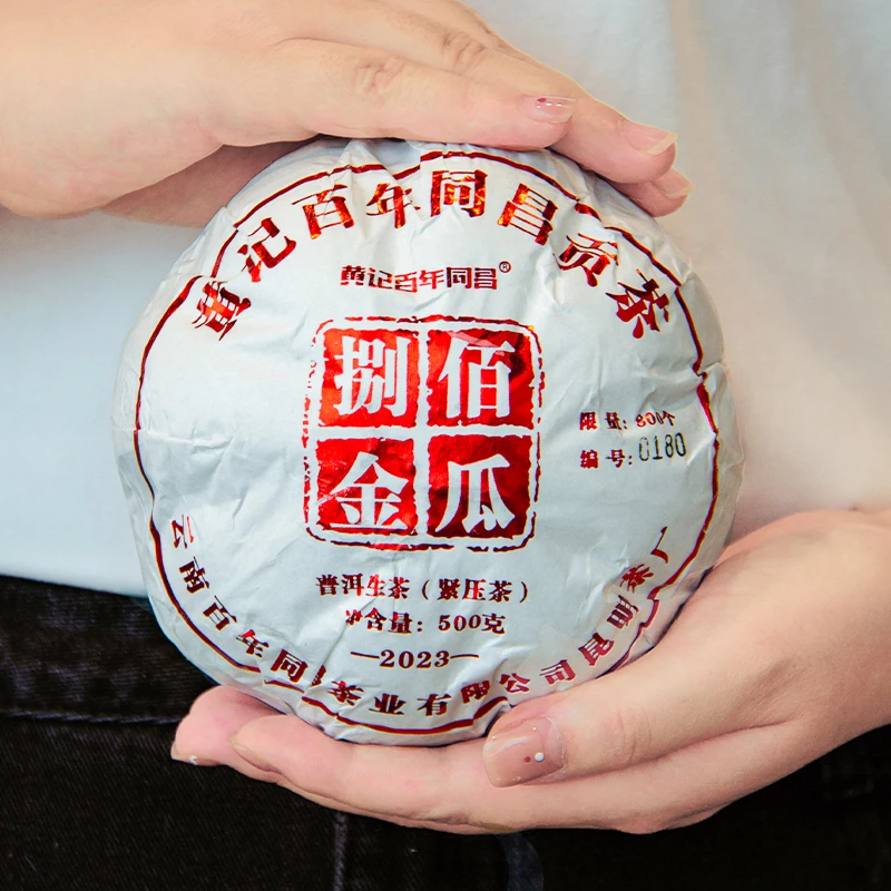 【同昌】黄记百年同昌2023年八百金瓜 紧压茶 500克 普洱生茶