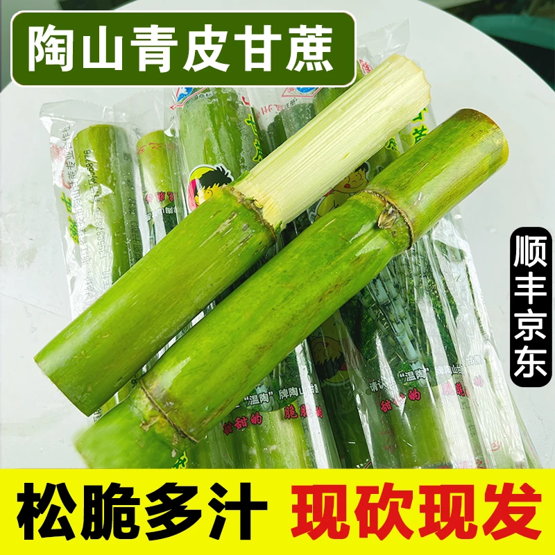 两节头 陶山青皮甘蔗绿皮甘蔗新鲜采摘孕妇水果当季现砍清甜5斤装