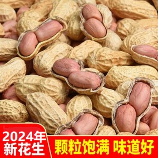 净重发货带壳（生）干花生河南原味花生可生吃可种新鲜营养大颗粒