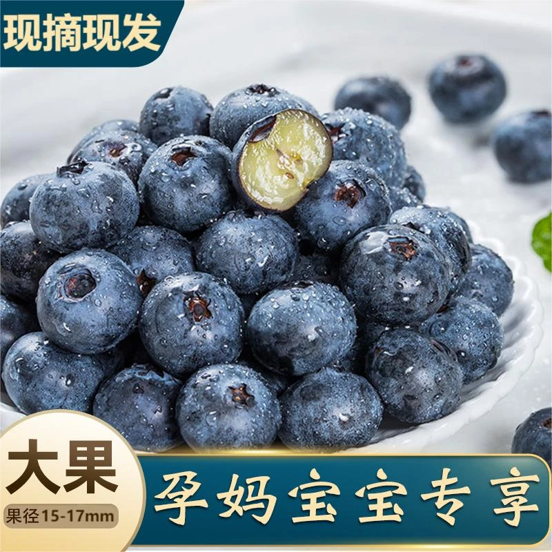 【大果】15-17mm现摘现发 酸甜爆汁应季蓝莓 新鲜水果4盒净重一斤D1