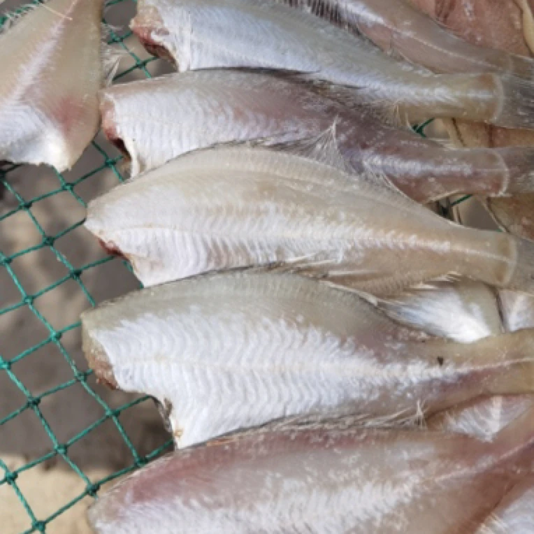 干货 长脖鱼干 偏口鱼干 一卤鲜鱼干