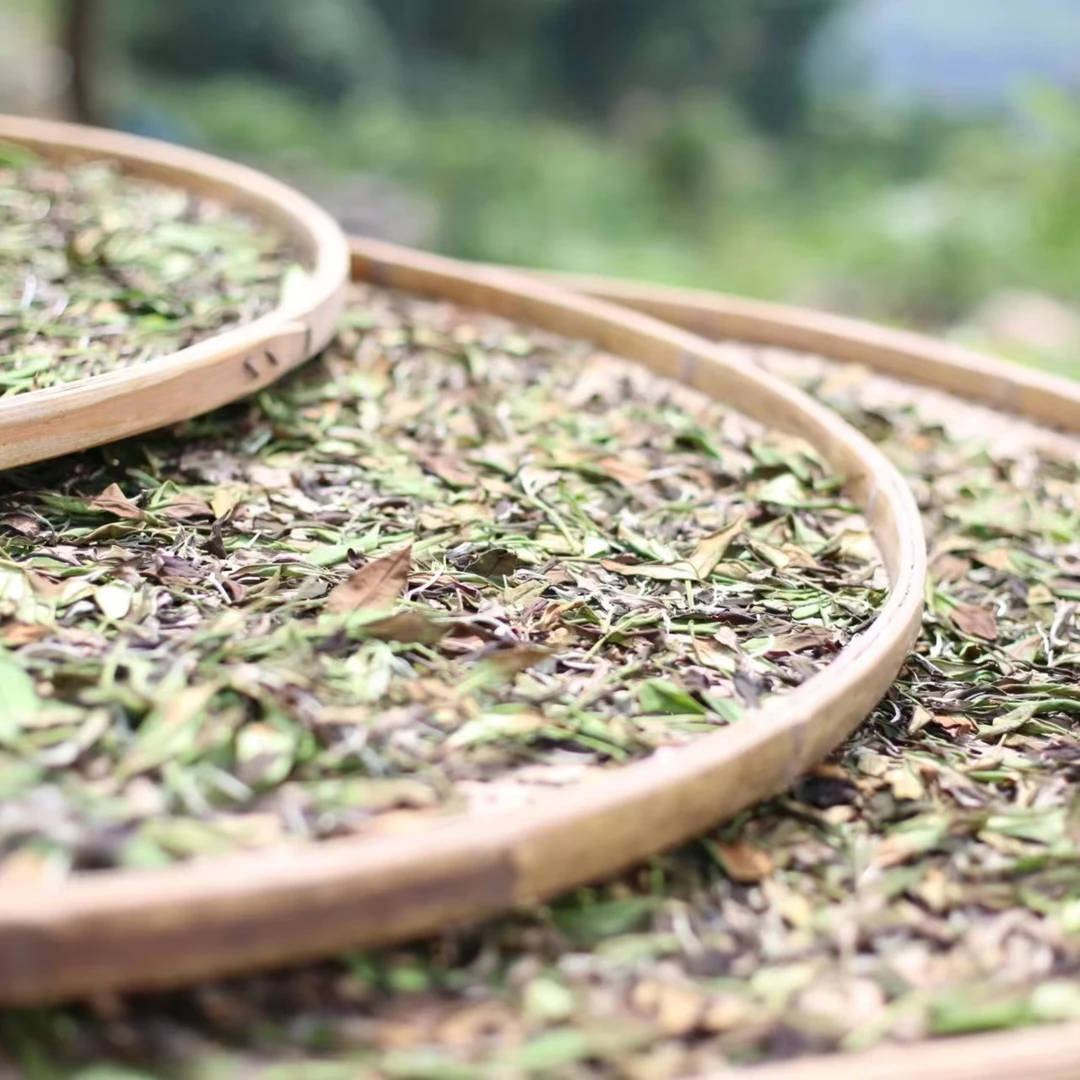 檄文 一亩一斤2024年特级荒野白毫银针 500g 简装