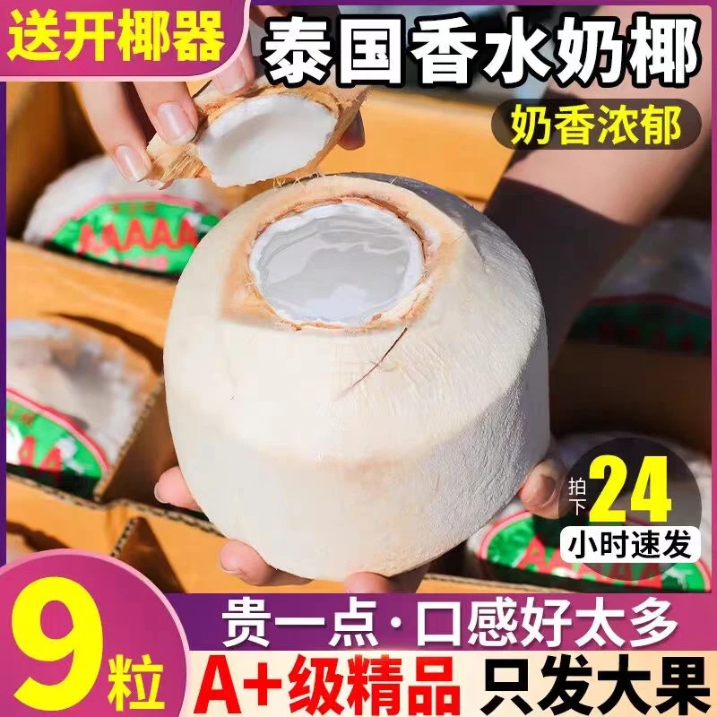 【新鲜泰国椰青】泰国香水椰青清甜椰子现货现发1箱9个