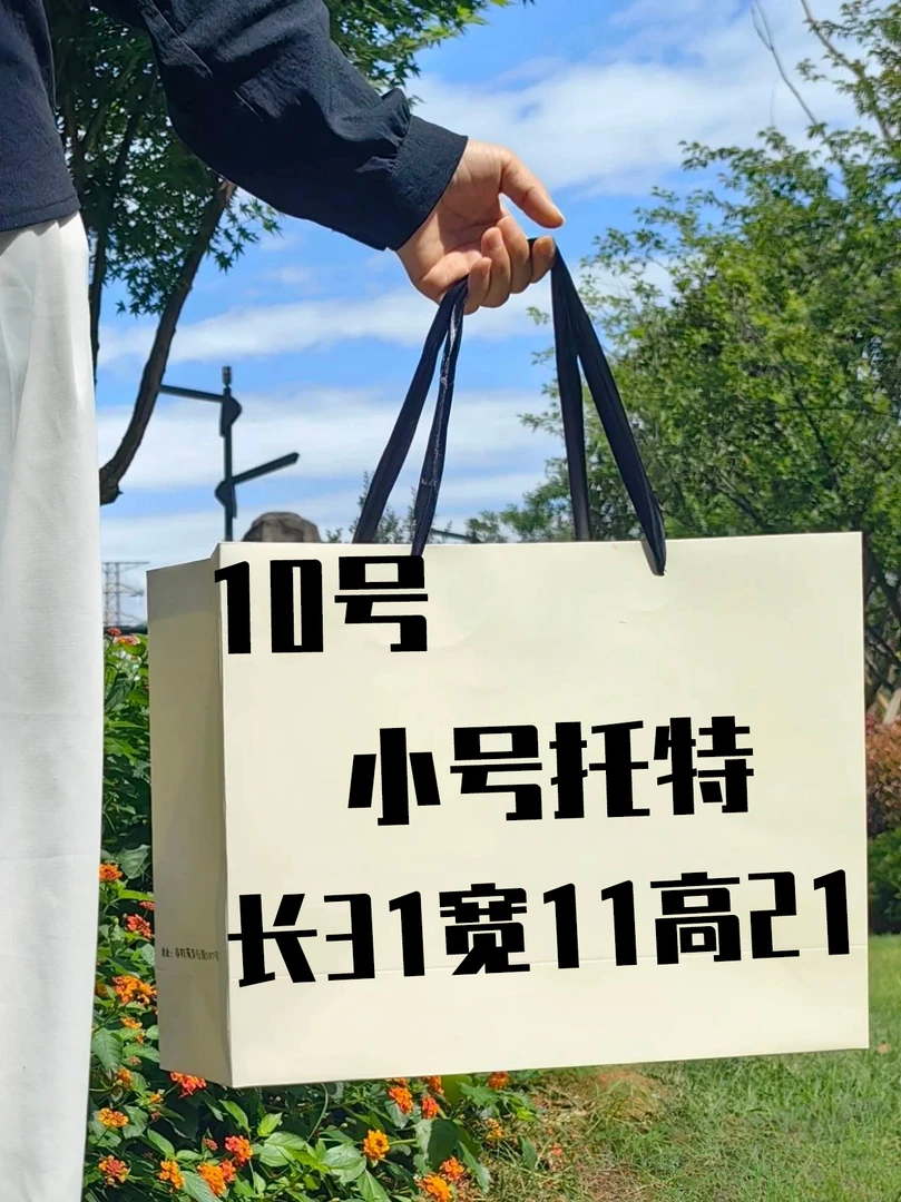 B 010 小号托特包气质时尚休闲百搭小号托特包 K31