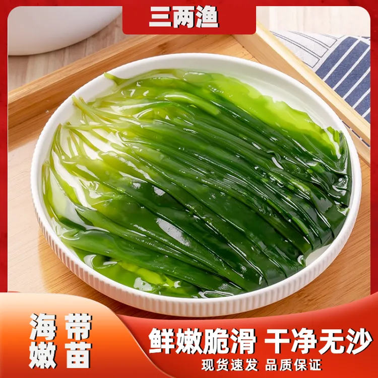福建霞浦海带嫩苗优质冷冻凉拌直供产品美味爽口