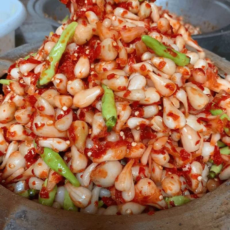 四川剁椒藠头酸辣茭头腌制教头咸菜香下饭菜泡菜罐装特产儿时味道