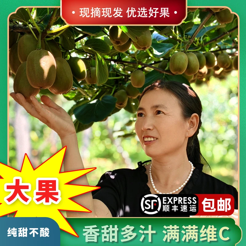 大果/顺丰包邮/淄博博山5斤装新鲜碧玉绿心猕猴桃水果整箱奇异果