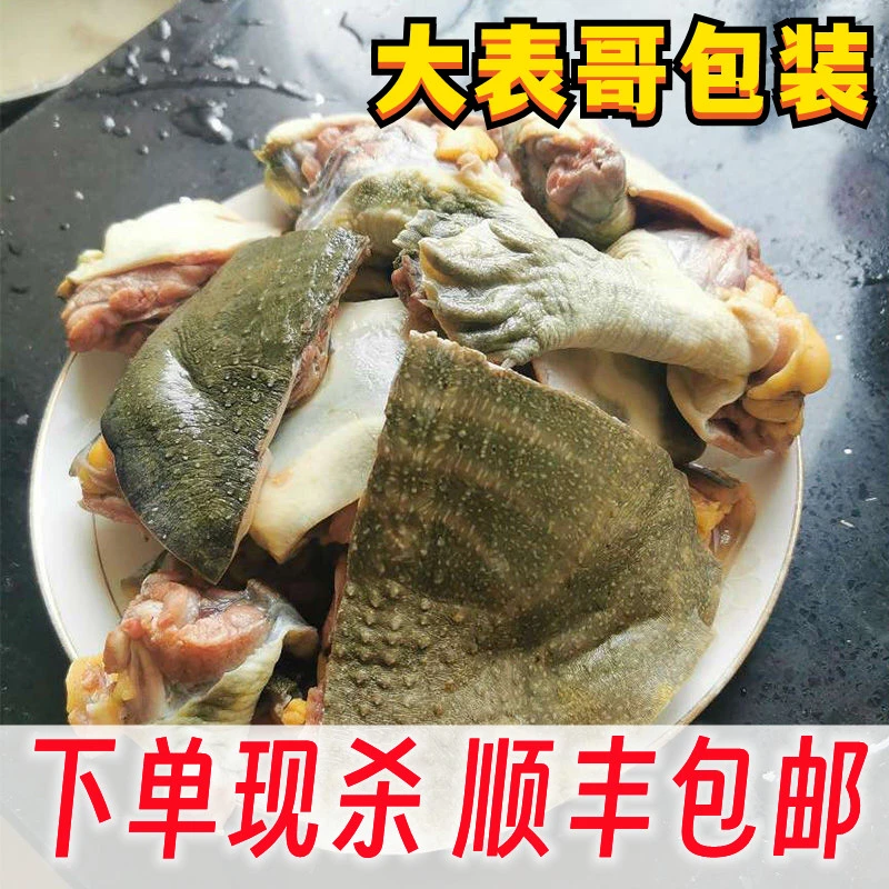 【大表哥严选】甲鱼肉块现杀现发去皮去内脏团鱼食用真空开包即煮