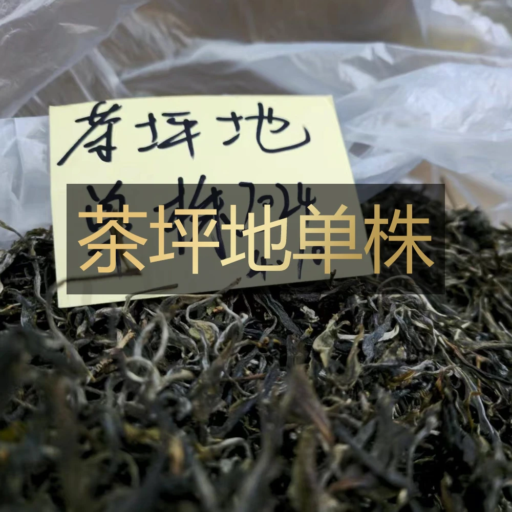 （100克）2024年茶坪地单株头春普洱生茶散茶